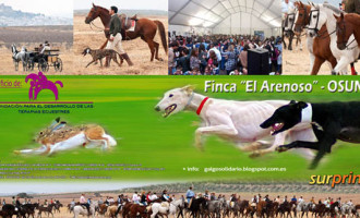 El miércoles 16 de octubre se presenta el cartel del IV Campeonato Benéfico Solidario de Galgos