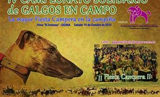 IV Campeonato Solidario de Galgos en Campo a beneficio de la Fundación para el Desarrollo de las Terapias Ecuestres