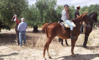 La Asociación de Caballistas de La Rambla pide delimitar la Vereda de Ecija