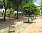 El Ayuntamiento de Écija registra un 90% menos de quejas vecinales en seguridad ciudadana y mantiene las demandas referentes a zonas verdes