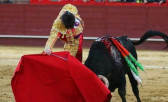 El novillero de Écija, Ángel Jiménez, sin opciones de triunfo en Valdemorillo