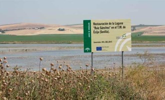 IU de Écija pide al gobierno municipal que trabaje en productos turísticos para la Laguna de Ruiz Sánchez.