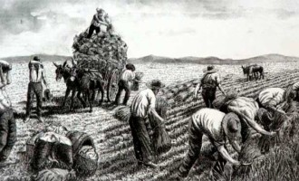 EL ECIJANO BENITO MAS Y PRAT, EN 30 DE JULIO Y 8 DE AGOSTO DE 1886, BAJO EL TITULO DE “CANTARES DE MI TIERRA”, PUBLICÓ EN LA ILUSTRACIÓN ESPAÑOLA Y AMERICANA por Ramón Freire