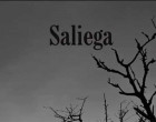 Presentación en Écija del poemario SALIEGA del autor Tomás Gutierrez Buenestado